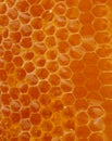 Honey Texture