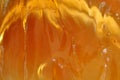 Honey texture background Royalty Free Stock Photo