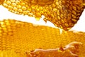 Honey texture close up in the detail Royalty Free Stock Photo