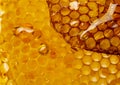 Honey texture close up in the detail Royalty Free Stock Photo