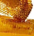 Honey texture close up in the detail