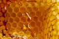 Honey texture close up in the detail