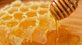 honey texture close up in detail