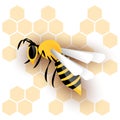 Honey wasp and wasp nest, honeycombs white background vector Royalty Free Stock Photo
