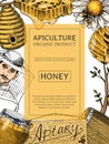 Honey waxing bee and beehive flyer. Poster organic honey and apiary, beehive and chamomile dessert nutrition vector
