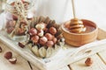 Honey in the wooden bowl, hazelnuts and jar with milk on the wooden tray Royalty Free Stock Photo