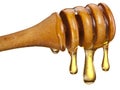 Honey wooden dipper (stick) with large drops of honey on a white background.