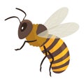 Honeybee flying black yellow striped insect with antennae vector flat illustration. Honey bee