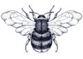 Honeybee tattoo. Dotwork tattoo. Mystical symbol of diligence, economy, purity, immortality, fertility and chastity
