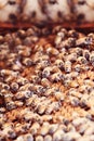 Honeybees on a Comb