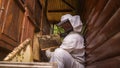 Honeybees on the hive frame with honeycomb, in the holder