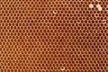 Honeycell Royalty Free Stock Photo