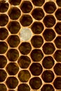 Honeycomb 007 Royalty Free Stock Photo