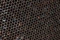 Honeycomb Royalty Free Stock Photo