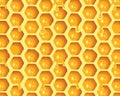 Honeycomb