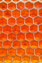 Honeycomb