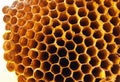 Honeycomb