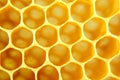 Honeycomb Royalty Free Stock Photo