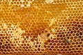 Honeycomb