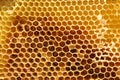 Honeycomb