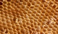 Honeycomb