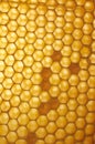 Honeycomb