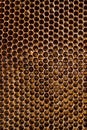 Honeycomb Royalty Free Stock Photo
