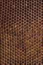 Honeycomb