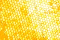 Honeycomb Royalty Free Stock Photo