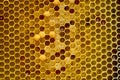 Honeycomb background Royalty Free Stock Photo