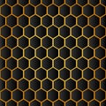 Honeycomb background texture from a bee hive. Vector hexagon pattern Royalty Free Stock Photo