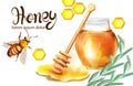 Honeycomb banner watercolor illustration. sunflower and bees Vector templates Royalty Free Stock Photo