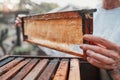 Honeycomb, beekeeping and bee farming, honey with natural product closeup with woman beekeeper for small business or