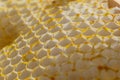 Honeycomb bees close-up in a wooden frame a working buckfast bee hive. The concept of beekeeping