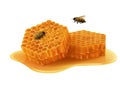 Honeycomb with bees on white background Royalty Free Stock Photo