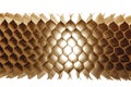 Honeycomb cells of cardboard stiffening rib background