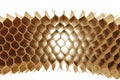 honeycomb cells of cardboard stiffening rib background