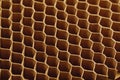 Honeycomb cells of cardboard stiffening rib background