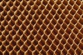 Honeycomb cells of cardboard stiffening rib background Royalty Free Stock Photo