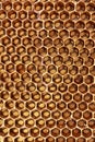 Honeycomb cells close-up with honey Royalty Free Stock Photo