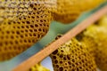 Honeycomb cells close-up Royalty Free Stock Photo