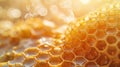 Honeycomb close up and blurred sunny background with copy space