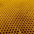 Honeycomb close-up displaying a network of hexagonal cells, typically made by Royalty Free Stock Photo