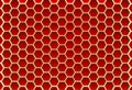 Honeycomb 002 Royalty Free Stock Photo