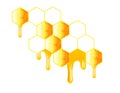 Honeycomb dripping