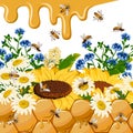 Honeycomb and flowers in illustration.