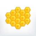 Honeycomb with flowing honey