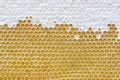 Honeycomb full of honey.