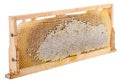 Honeycomb full of honey in wooden frame