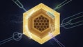 Honeycomb in Golden Hexagonal Container Royalty Free Stock Photo